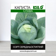 Насіння капусти Слава, 0,5 кг